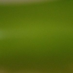 Meet your Posher, Dy